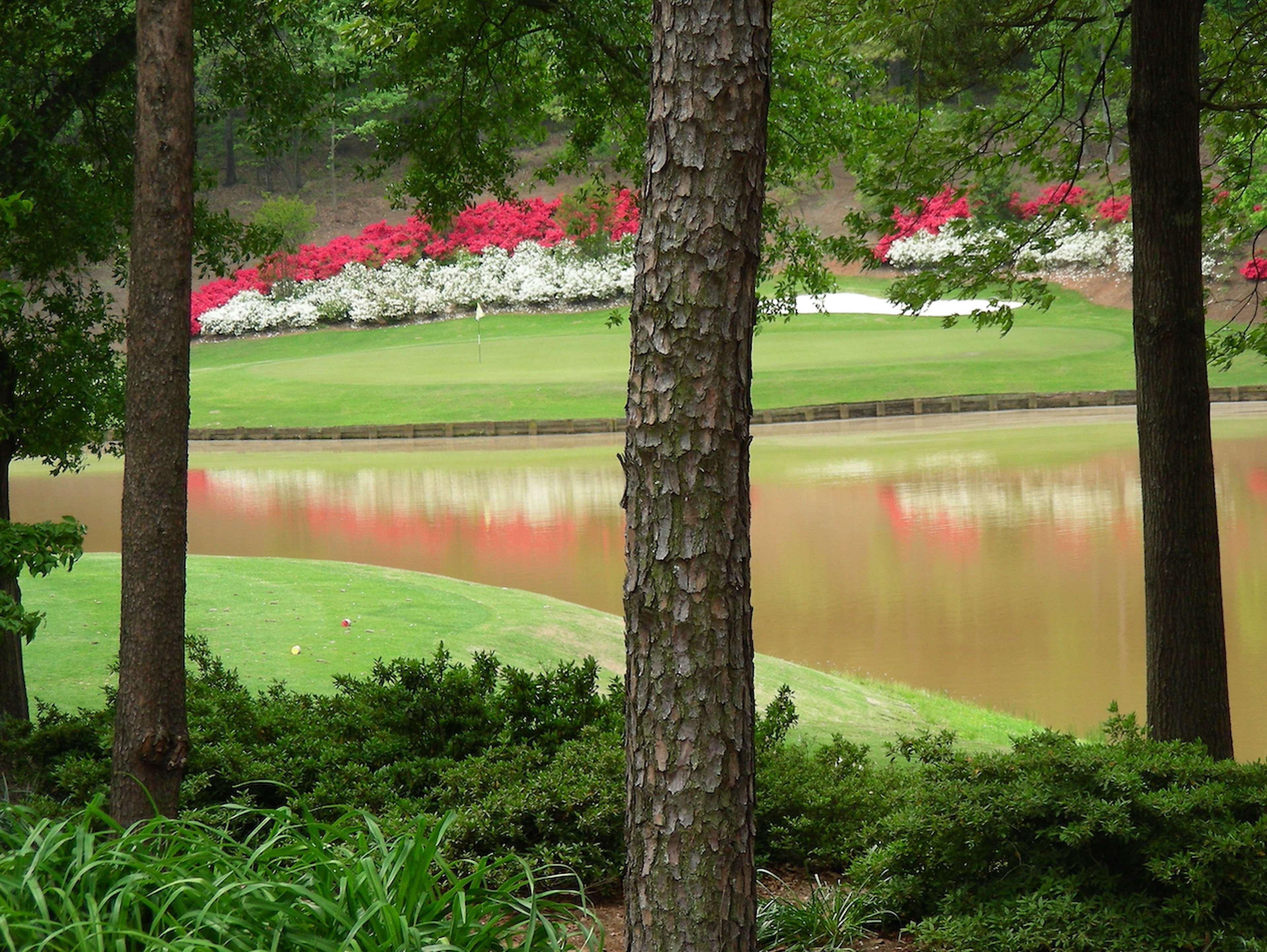 Embassy Suites Greenville Golf Resort & Conference Center Exterior photo
